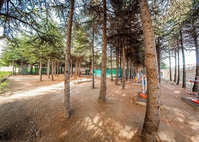 アパート Crown Club *