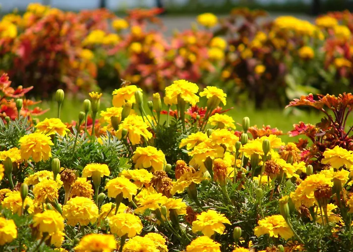 Crown Club アパート