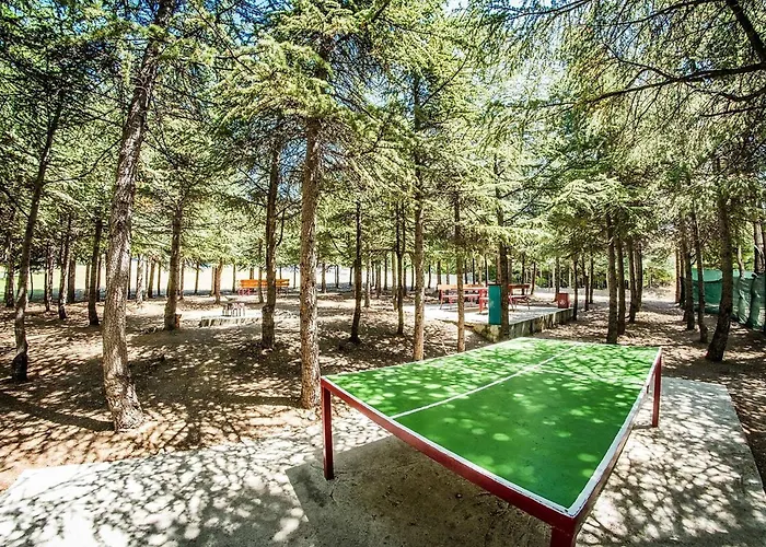 Crown Club * スヴェティ・ヴラス