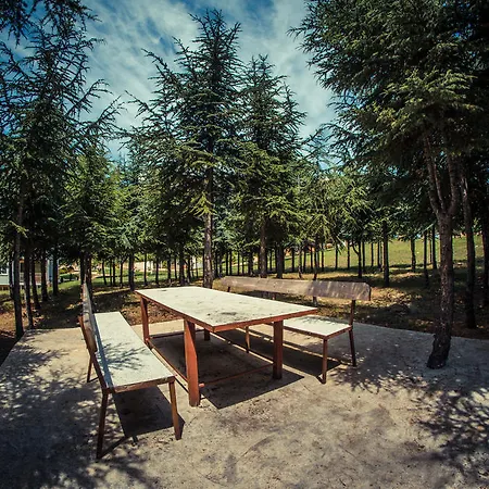 Apartman Crown Club Szveti Vlasz