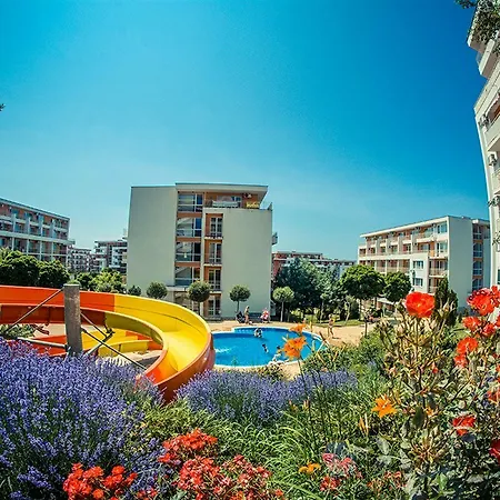 Crown Club سفيتي فلاس